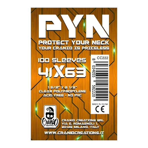 100 Bustine PYN 41x63