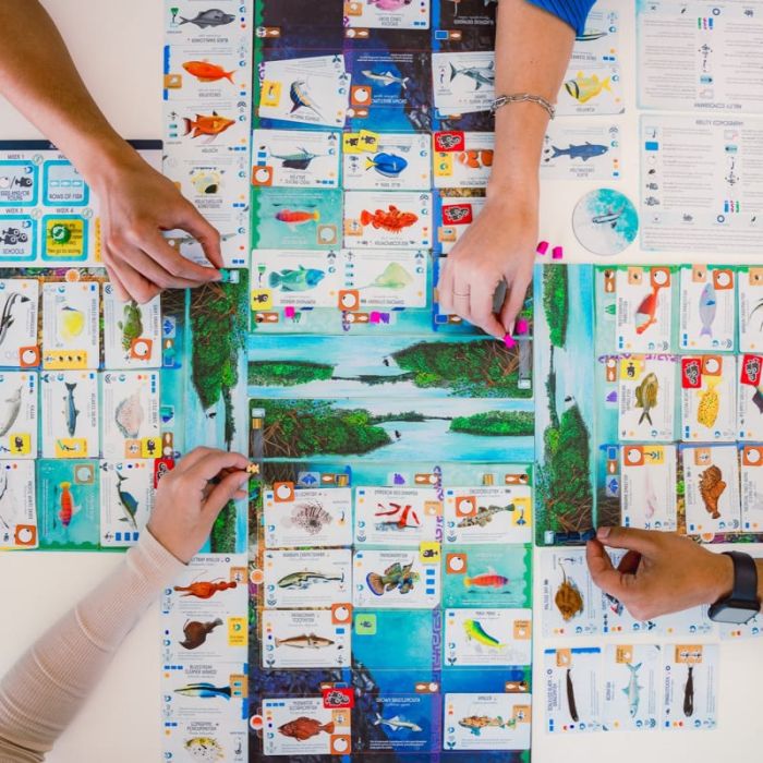 Tabellone Finspan gioco da tavolo